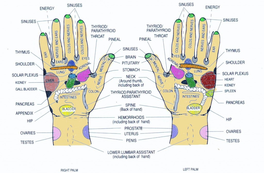 An illustration of both hands showing all the reflexology spots and what they stand for.