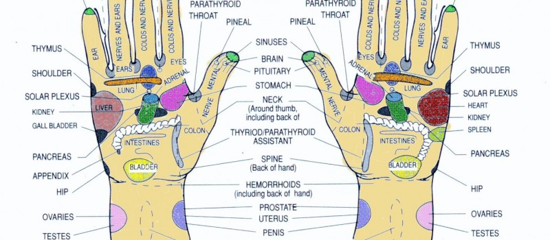 An illustration of both hands showing all the reflexology spots and what they stand for.